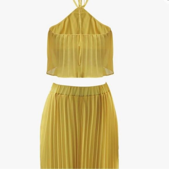 Two Piece Set Pleated Maxi Skirt and Crop Top - Picture 5 of 8